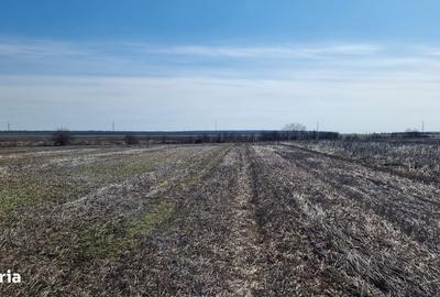 Teren de 17743 mp, în Snagov - 3