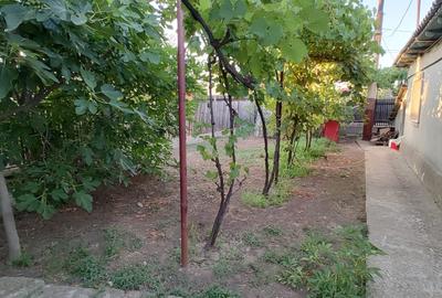 Casa 4 camere - Tuzla - zona Centrala - 85.000 euro (Cod E2+E8) - 12