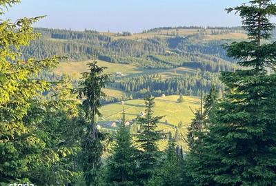 Teren de 500000 mp, în Ciocănești - 7