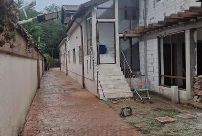 Pensiune Silistea Snagovului - 6