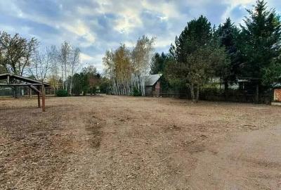 Casă cu 6 camere cu Teren 4700 Mp în Gruiu - 10