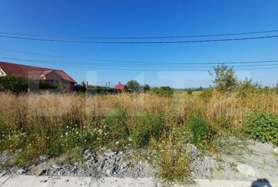 Teren de 9500 mp, în Abator - 4