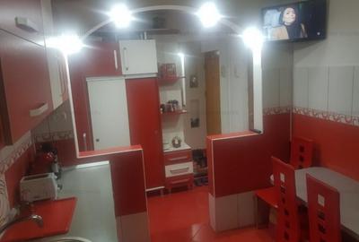 Apartament doua camere, renovat, la Narcisa - 10