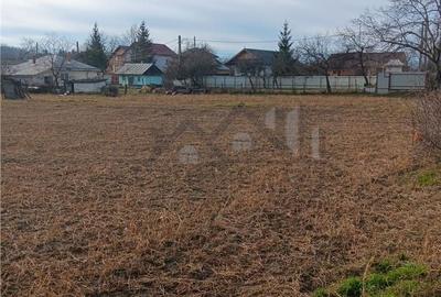 Spațiu comercial, în Păun - 3