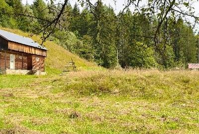 Teren intravilan Valea Doftanei - 9