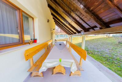 VILA DE VIS CU TEREN GENEROS, DE VANZARE - 34