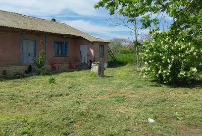 Casă cu 3 camere în Lunca - 4