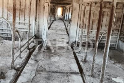 Microferma cu locuinta de vanzare in Pianu de sus - 2