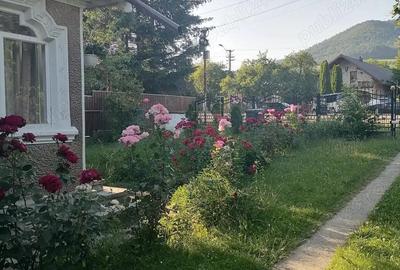 Casa locuibila cu teren mic Bistrita Casa locuibila cu teren mic Bistrita - 2