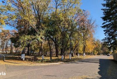 Teren de 19470 mp, în Adunații-Copăceni - 10
