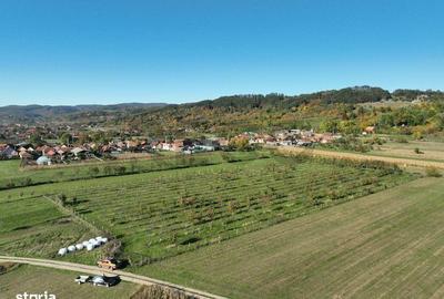 Spațiu comercial, în Aușeu - 4