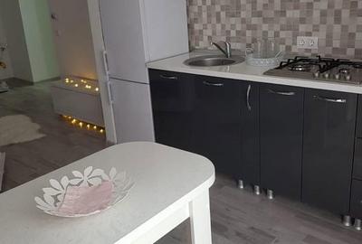 Apartament cu 2 camere în Doamna Ghica