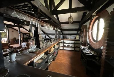 Vila  cu Vedere si acces  la Lac Snaov–  visul tau din Izvorani - 10