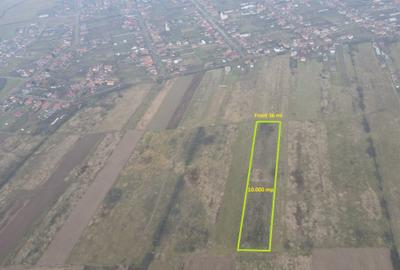 Teren agricol extravilan de 10000 mp, în Moșnița Nouă