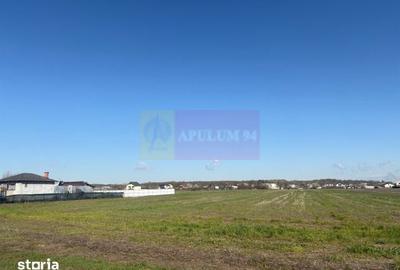Teren de 4000 mp, în Clinceni