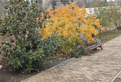 Inchiriere casa cu terasa si curte zona Piata Mica Spitalul Judetean - 25