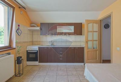 Casa tipica pentru un stil de viata linistit - Craiter, Brasov - 20