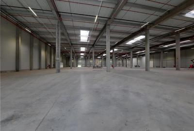Spatiu Industrial - 4500 mp - Logistica - Productie - Depozitare - Distributie - 4
