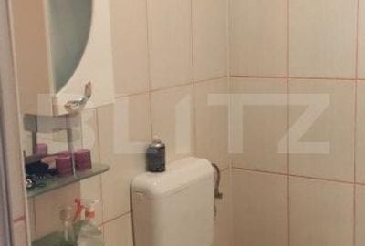 Casa cu 6 camere, 294 mp, zona-Nufarul - 19