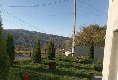 Casă cu 4 camere în Central - 3