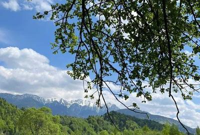 PROPRIETAR - 3274 mp intravilan Simon (BRAN) - 5