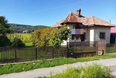Casă cu 3 camere în Furnicoși - 1