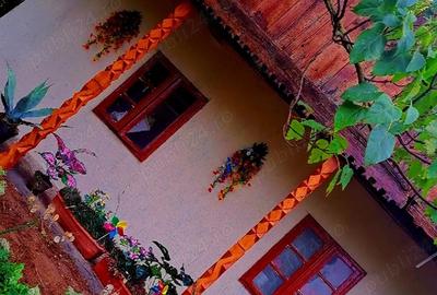 Casa noua cu mansarda si 1.24 hectare teren intravilan - 10