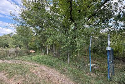 Teren de 400 mp, în Central - 5