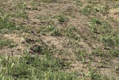 Teren agricol intravilan de 4000 mp, în Periferie - 4