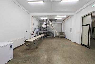 Hala cu spatii frig + birouri - Zona Freidorf - 5