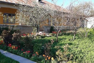 Casă în Piatra - 4