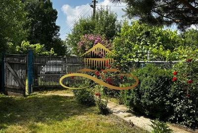 Casa batraneasca cu 2ha de teren de vanzare in sat Balaia / Bacau - 25