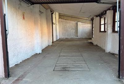 Spațiu comercial, de 52 mp, în Iosefin - 2