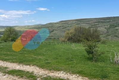 Teren Construcții intravilan de 16382 mp, în Mihăiești - 14