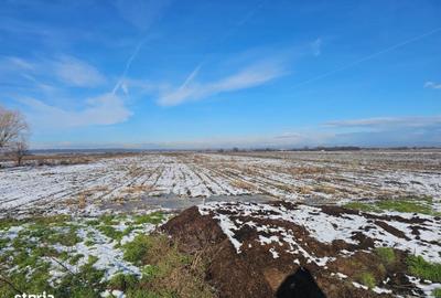 Teren de 10900 mp, în Băleni - 3