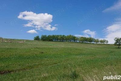 Teren de 8743 mp, în Central - 3