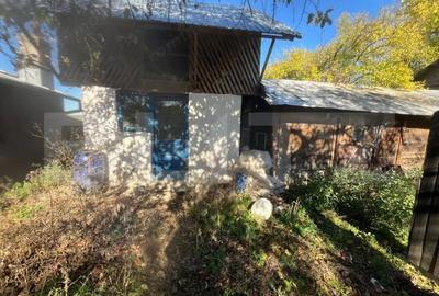Casă cu 3 camere cu Teren 4500 Mp în Sud - 7