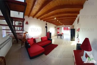 VILA CU PISCINA COSTINESTI - 2