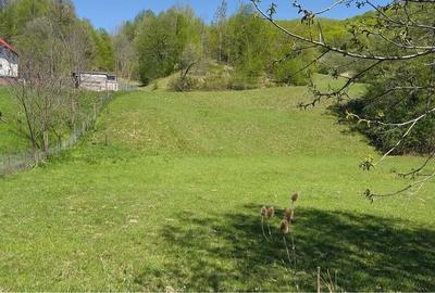 Teren de 1801 mp, în Valea Borului - 4
