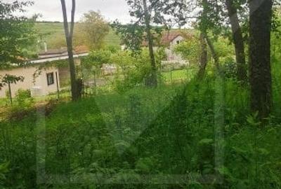 Ocazie!Teren intravilan in comuna Ciurila sat Saliste, priveliste - 3