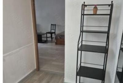 Decebal muncii parter - 9