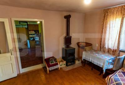 Casă cu 3 camere cu Teren 4000 Mp în Rovina (Brănișca) - 6