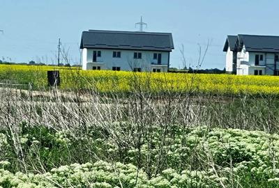 Popesti Frumusani Teren Construibil 560MP - 3