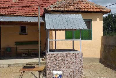 Casă cu 3 camere cu Teren 10000 Mp în Gherteniș - 11