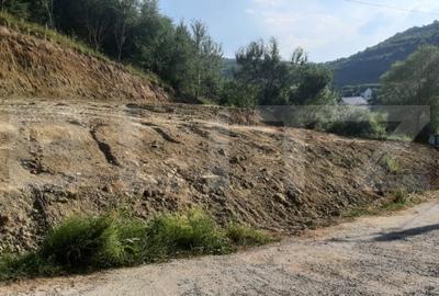 Teren de 1500 mp, în Florești