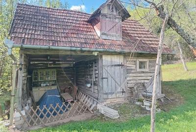 OCAZIE!!! CASA SUPERBA cu teren in JULITA jud Arad in M tii Zarandului - 35