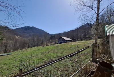 Casă cu 4 camere cu Teren 300 Mp în Tulnici - 12