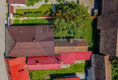 Casă individuală cu 4 camere cu Teren 2914 Mp în Bogata Olteană - 19