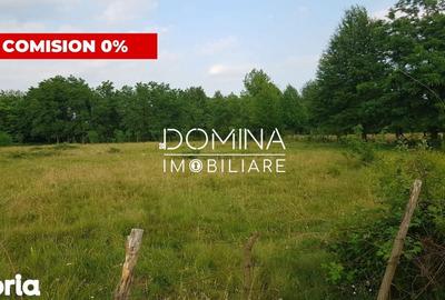 Teren de 6843 mp, în Polovragi - 7