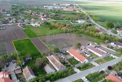 Casă cu 4 camere cu Teren 2880 Mp în Giulvăz - 17